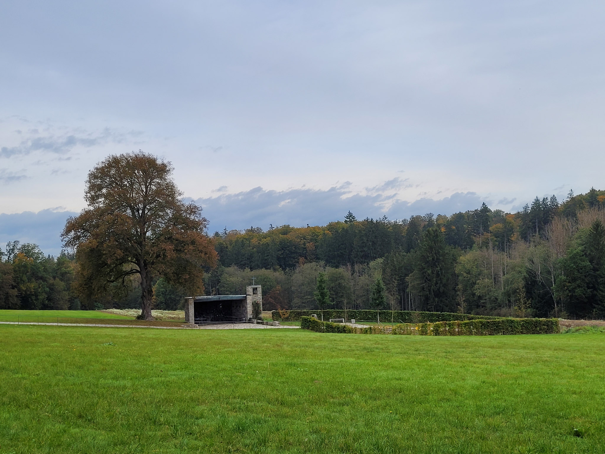 20231014114017 20231014 114017